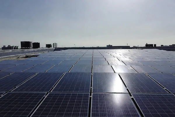 Commercial rooftop solar panel array cleaned by professional drone service